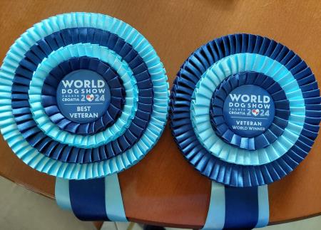 Zveneči naslovi osvojeni na World dog show Zagreb 2024